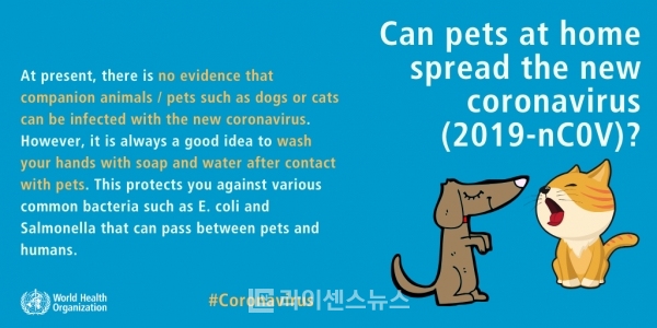 세계보건기구(WHO)가 공지한 애완동물의 코로나19 감염가능성 삽화. 아직까지는 증거가 없다.(사진=WHO)