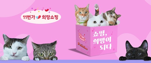 11번가, 유기묘 아이돌그룹 ‘11키티즈’ 데뷔곡 ‘Take Me’ 음원·MV 공개 [사진=11번가 제공]