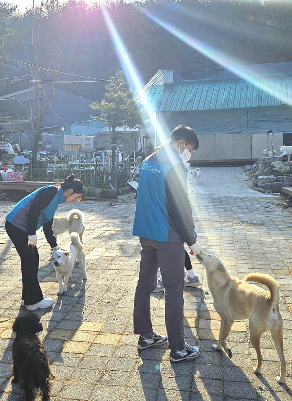 유기동물 보호소 찾아 봉사활동하는 한국마사회 임직원 봉사단 모습 [사진=한국마사회 제공]